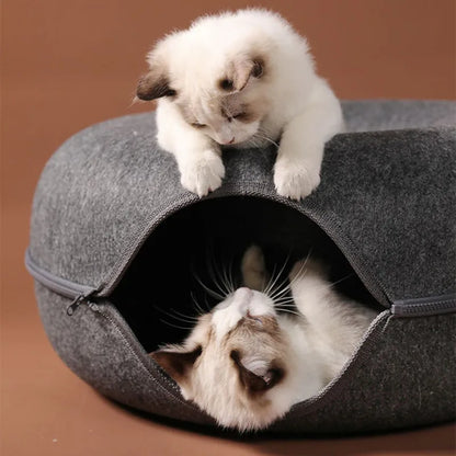 Cat Donut House