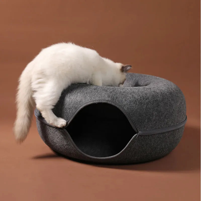 Cat Donut House