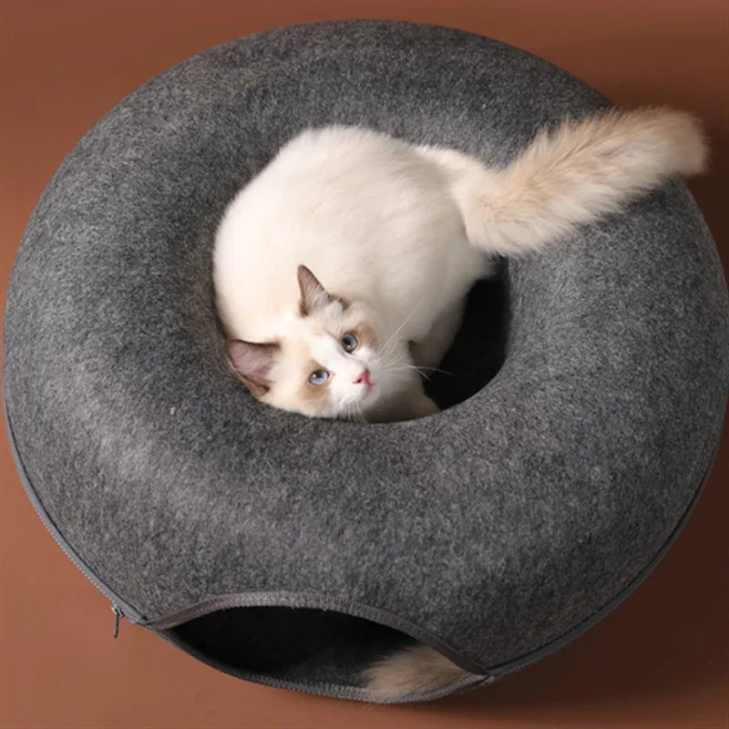 Cat Donut House